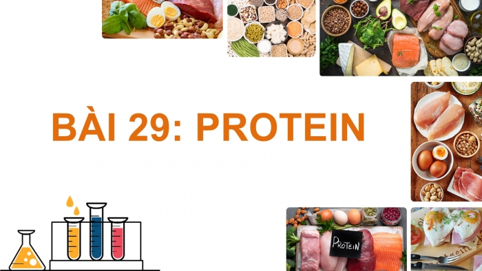 Giáo án điện tử KHTN 9 chân trời - Phân môn Hoá học Bài 29: Protein