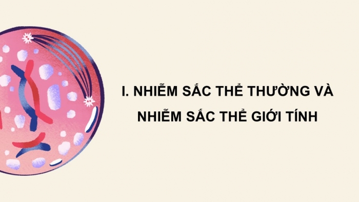 Giáo án điện tử KHTN 9 kết nối - Phân môn Sinh học Bài 44: Nhiễm sắc thể giới tính và cơ chế các định giới tính