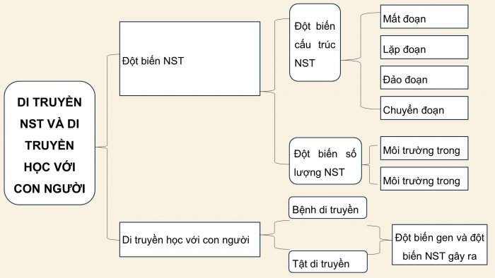 Giáo án điện tử KHTN 9 kết nối - Phân môn Sinh học Bài Ôn tập giữa học kì 2