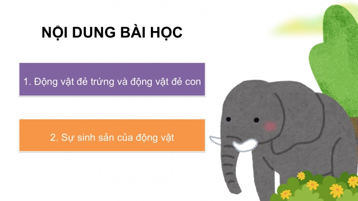 Giáo án điện tử Khoa học 5 kết nối Bài 15: Sinh sản của động vật