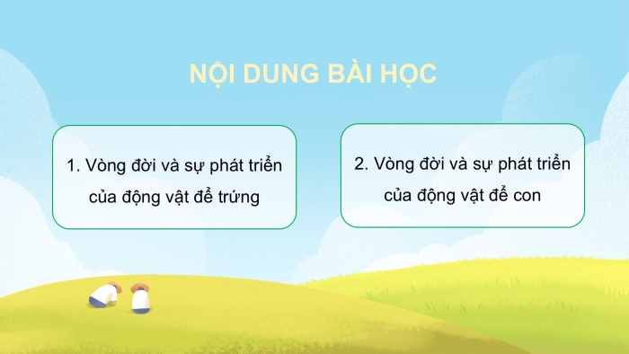 Giáo án điện tử Khoa học 5 kết nối Bài 16: Vòng đời và sự phát triển của động vật