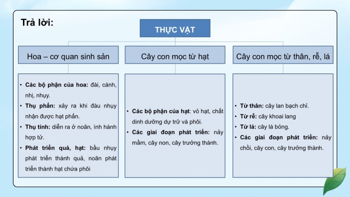 Giáo án điện tử Khoa học 5 kết nối Bài 17: Ôn tập chủ đề Thực vật và động vật