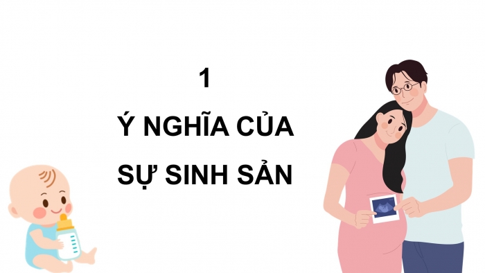 Giáo án điện tử Khoa học 5 kết nối Bài 22: Sự hình thành cơ thể người