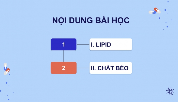 Giáo án điện tử KHTN 9 cánh diều - Phân môn Hoá học Bài 25: Lipid và chất béo