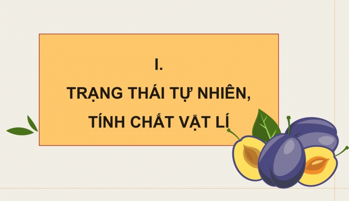 Giáo án điện tử KHTN 9 cánh diều - Phân môn Hoá học Bài 27: Tinh bột và cellulose