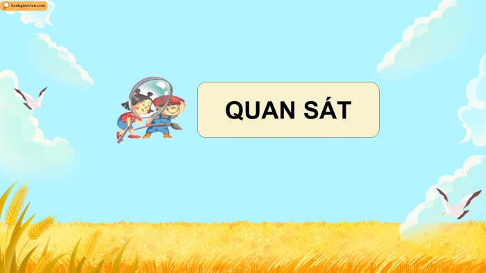 Giáo án điện tử Mĩ thuật 5 kết nối Chủ đề 6: Cảnh sắc quê hương