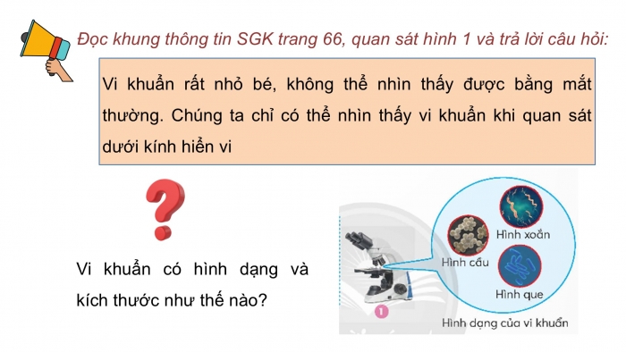 Giáo án điện tử Khoa học 5 chân trời Bài 18: Vi khuẩn quanh ta