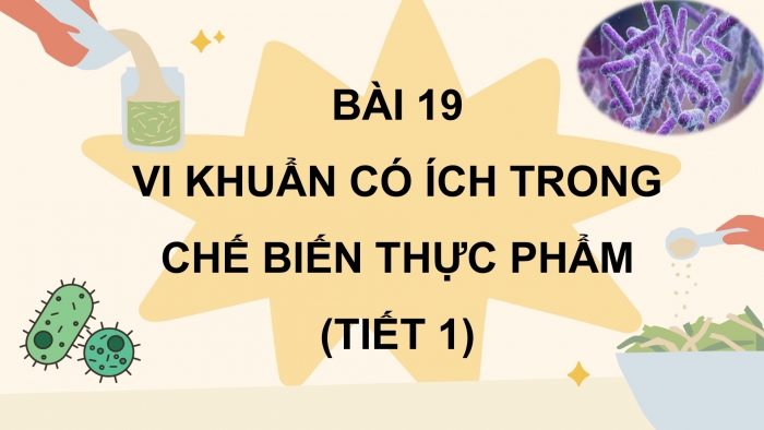 Giáo án điện tử Khoa học 5 chân trời Bài 19: Vi khuẩn có ích trong chế biến thực phẩm