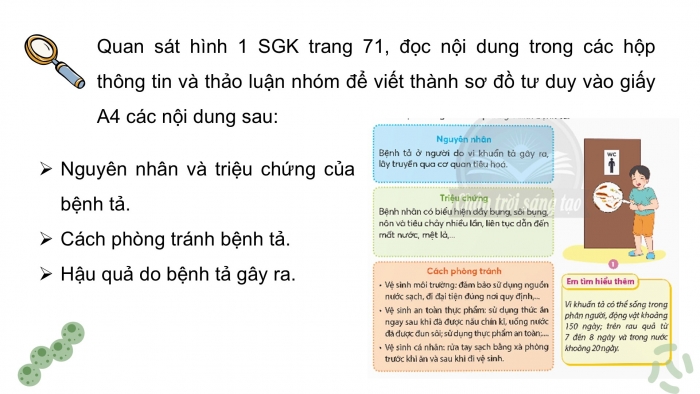 Giáo án điện tử Khoa học 5 chân trời Bài 20: Một số bệnh ở người do vi khuẩn gây ra