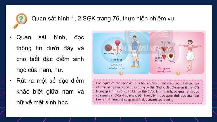 Giáo án điện tử Khoa học 5 chân trời Bài 22: Một số đặc điểm của nam và nữ