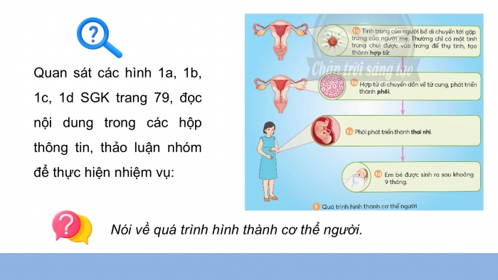 Giáo án điện tử Khoa học 5 chân trời Bài 23: Sự sinh sản ở người