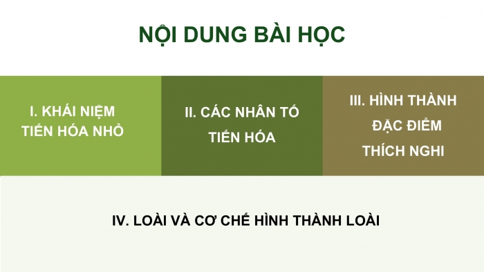 Giáo án điện tử Sinh học 12 kết nối Bài 21: Học thuyết tiến hoá tổng hợp hiện đại