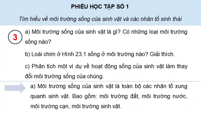 Giáo án điện tử Sinh học 12 kết nối Bài 23: Môi trường và các nhân tố sinh thái