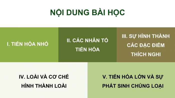 Giáo án điện tử Sinh học 12 chân trời Bài 17: Thuyết tiến hoá tổng hợp hiện đại