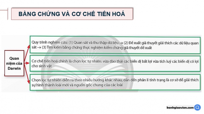 Giáo án điện tử Sinh học 12 chân trời Bài Ôn tập Chương 4