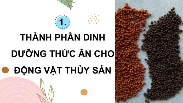 Giáo án điện tử Công nghệ 12 Lâm nghiệp Thủy sản Cánh diều Bài 16: Thành phần dinh dưỡng của thức ăn thủy sản