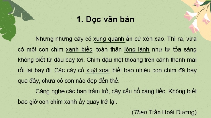 Giáo án điện tử tiếng Việt 2 kết nối Bài 7: Cây xấu hổ