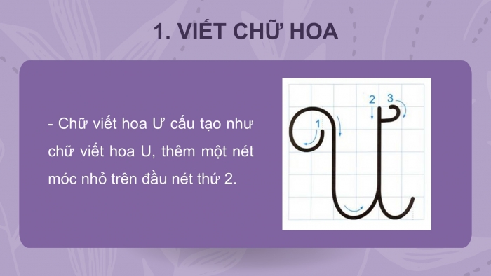 Giáo án điện tử Tiếng Việt 2 kết nối Bài 9: Chữ hoa U Ư