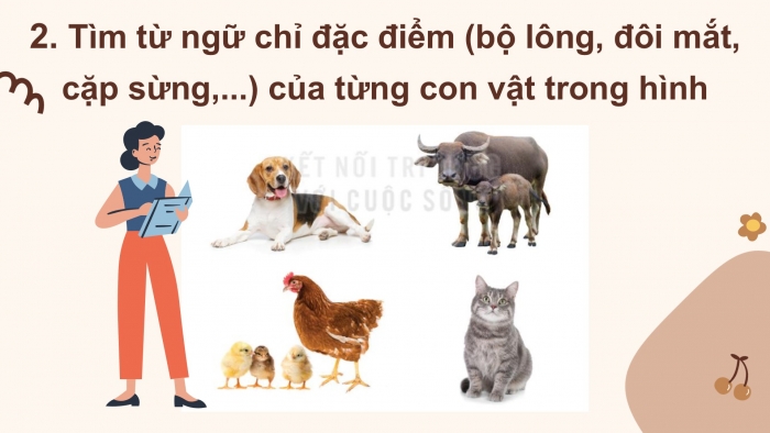 Giáo án điện tử Tiếng Việt 2 kết nối Bài 12: Mở rộng vốn từ về vật nuôi; Câu nêu đặc điểm của các loài vật