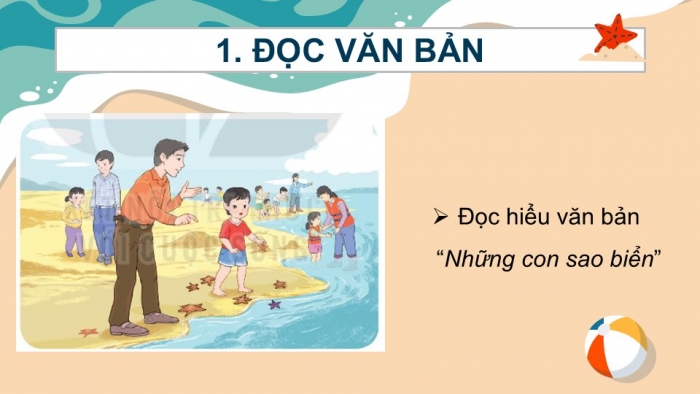 Giáo án điện tử Tiếng Việt 2 kết nối Bài 15: Những con sao biển