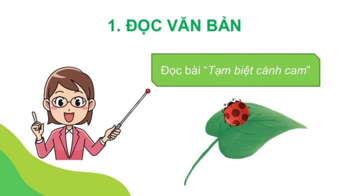 Giáo án điện tử Tiếng Việt 2 kết nối Bài 16: Tạm biệt cánh cam