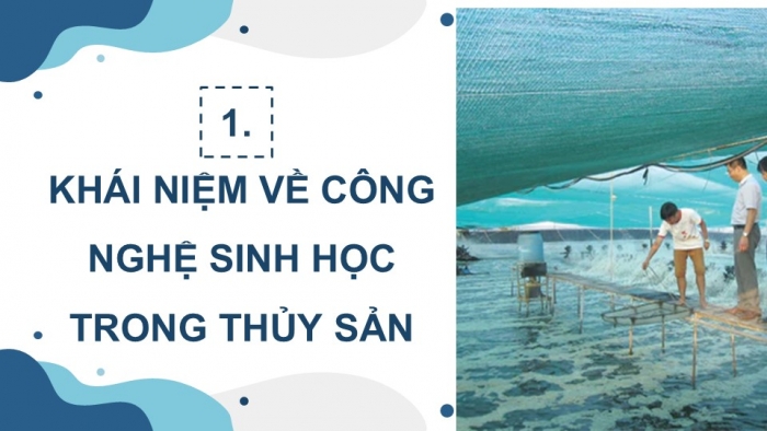 Giáo án điện tử chuyên đề Công nghệ 12 Lâm nghiệp Thuỷ sản Cánh diều Bài 4: Vai trò, thành tựu và triển vọng của công nghệ sinh học trong thuỷ sản