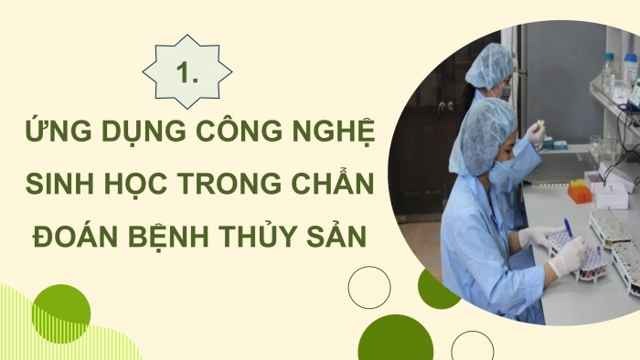 Giáo án điện tử chuyên đề Công nghệ 12 Lâm nghiệp Thuỷ sản Cánh diều Bài 8: Ứng dụng công nghệ sinh học trong chẩn đoán bệnh và sản xuất vaccine phòng bệnh thuỷ sản