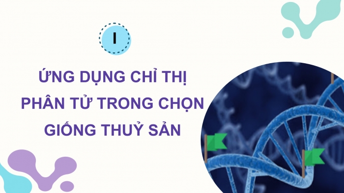 Giáo án điện tử Công nghệ 12 Lâm nghiệp - Thủy sản Kết nối Bài 15: Ứng dụng công nghệ sinh học trong chọn và nhân giống thủy sản