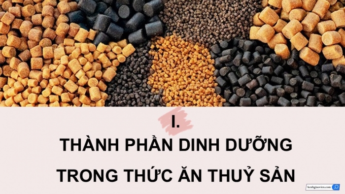 Giáo án điện tử Công nghệ 12 Lâm nghiệp - Thủy sản Kết nối Bài 16: Thức ăn thủy sản