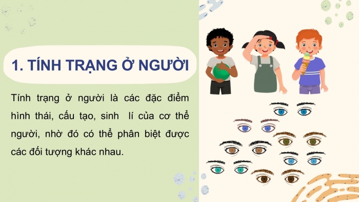 Giáo án điện tử KHTN 9 chân trời - Phân môn Sinh học Bài 44: Di truyền học với con người