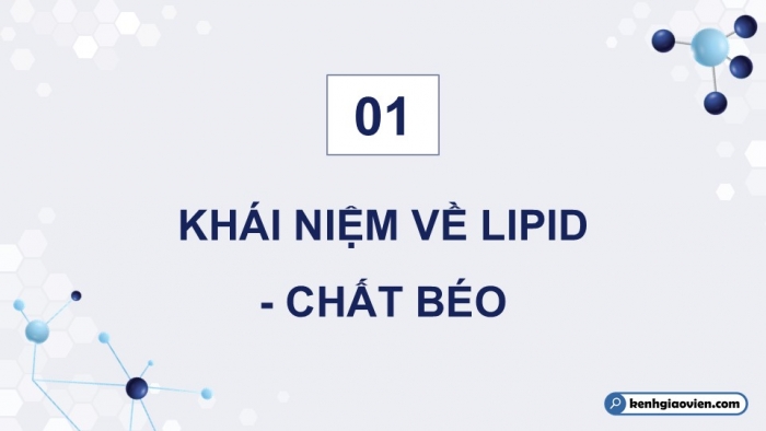 Giáo án điện tử KHTN 9 chân trời - Phân môn Hoá học Bài 26: Lipid và chất béo