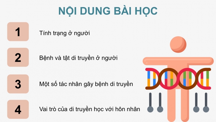 Giáo án điện tử KHTN 9 kết nối - Phân môn Sinh học Bài 47: Di truyền học với con người