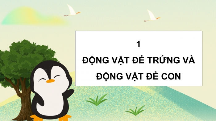 Giáo án điện tử Khoa học 5 kết nối Bài 15: Sinh sản của động vật