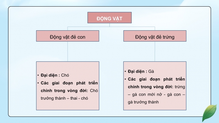 Giáo án điện tử Khoa học 5 kết nối Bài 17: Ôn tập chủ đề Thực vật và động vật