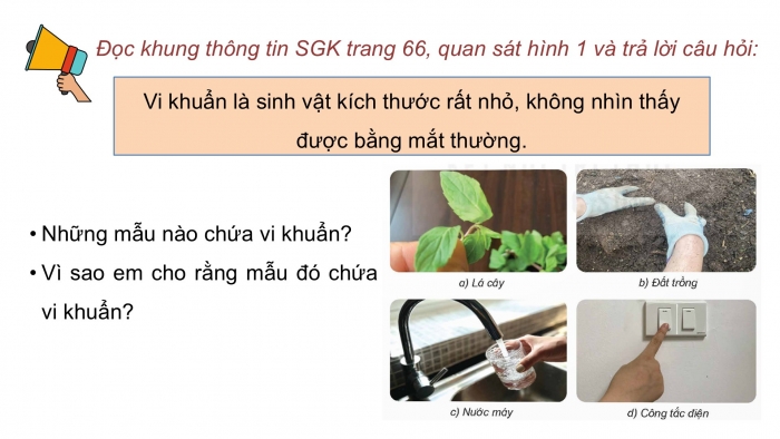 Giáo án điện tử Khoa học 5 kết nối Bài 18: Vi khuẩn xung quanh chúng ta