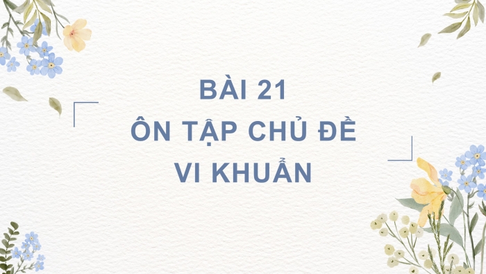 Giáo án điện tử Khoa học 5 kết nối Bài 21: Ôn tập chủ đề Vi khuẩn