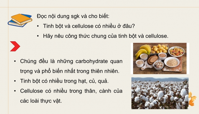 Giáo án điện tử KHTN 9 cánh diều - Phân môn Hoá học Bài 27: Tinh bột và cellulose