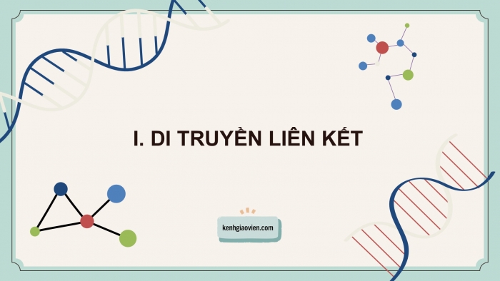 Giáo án điện tử KHTN 9 cánh diều - Phân môn Sinh học Bài 39: Di truyền liên kết và cơ chế xác định giới tính