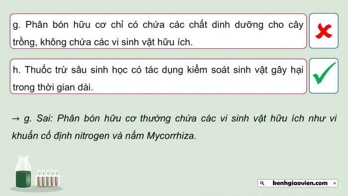 Giáo án điện tử chuyên đề Sinh học 12 cánh diều Ôn tập CĐ 2