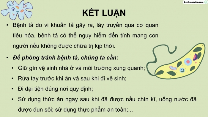 Giáo án điện tử Khoa học 5 chân trời Bài 20: Một số bệnh ở người do vi khuẩn gây ra