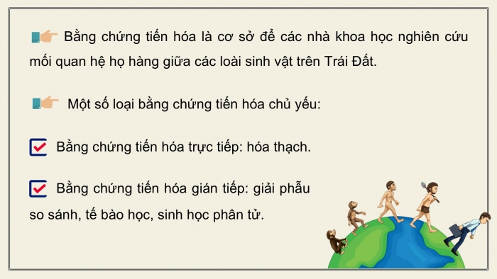 Giáo án điện tử Sinh học 12 kết nối Bài 19: Các bằng chứng tiến hoá