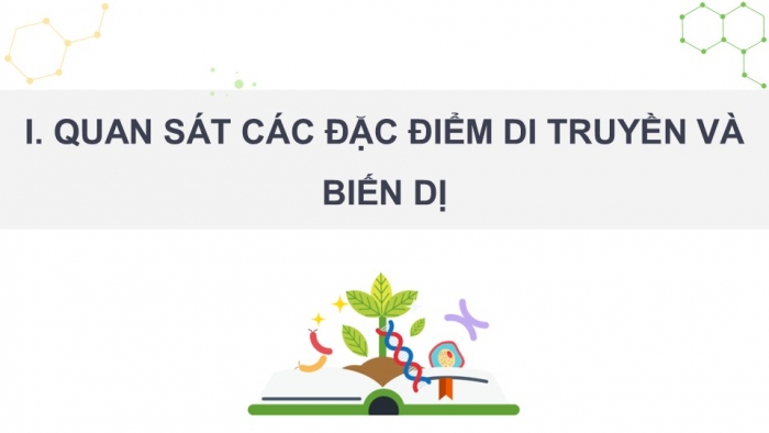 Giáo án điện tử Sinh học 12 kết nối Bài 20: Quan niệm của Darwin về chọn lọc tự nhiên và hình thành loài