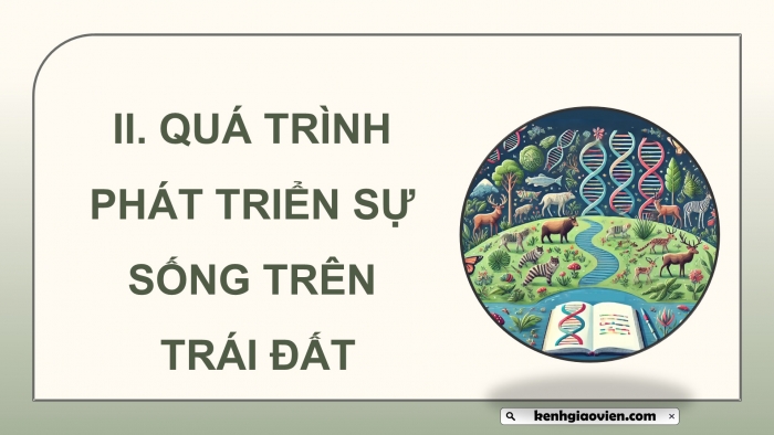 Giáo án điện tử Sinh học 12 kết nối Bài 22: Tiến hoá lớn và quá trình phát sinh chủng loại