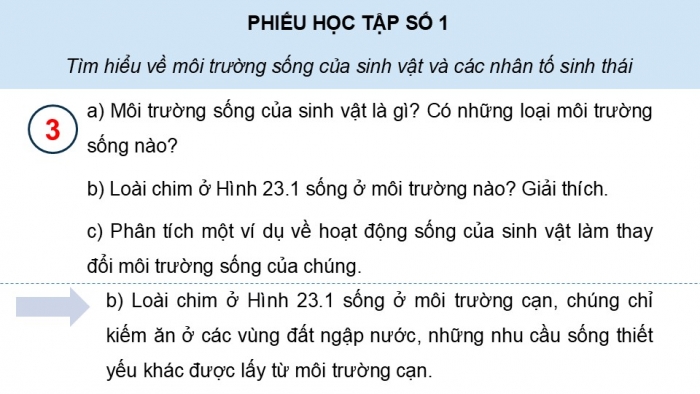 Giáo án điện tử Sinh học 12 kết nối Bài 23: Môi trường và các nhân tố sinh thái