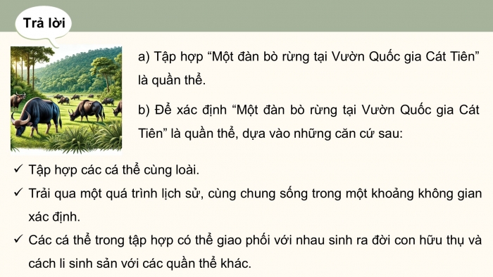 Giáo án điện tử Sinh học 12 chân trời Bài 13: Di truyền quần thể