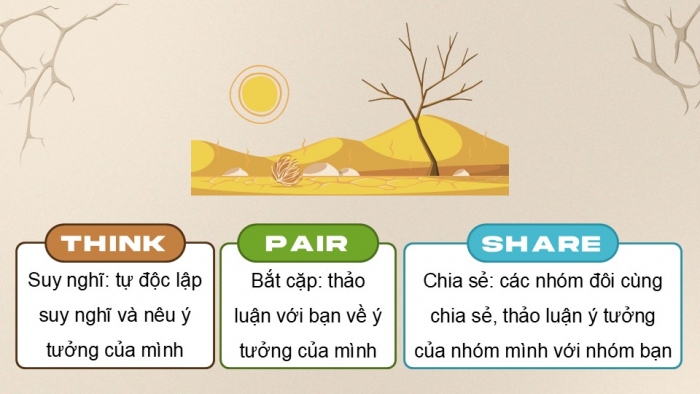 Giáo án điện tử Địa lí 9 cánh diều Bài 14: Thực hành Phân tích ảnh hưởng của nạn hạn hán và sa mạc hóa ở vùng khô hạn Ninh Thuận - Bình Thuận