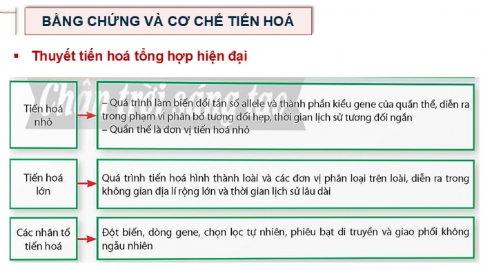 Giáo án điện tử Sinh học 12 chân trời Bài Ôn tập Chương 4