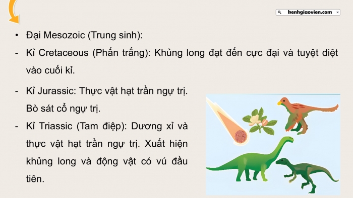 Giáo án điện tử Sinh học 12 chân trời Bài 19: Sự phát triển sự sống