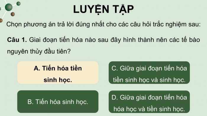 Giáo án điện tử Sinh học 12 chân trời Bài Ôn tập Chương 5