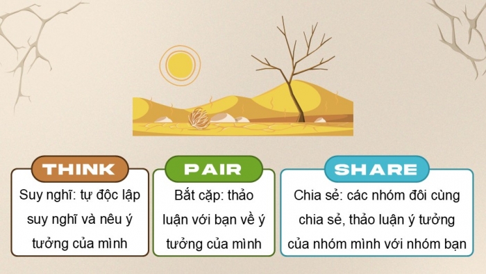 Giáo án điện tử Địa lí 9 chân trời Bài 16: Thực hành Phân tích ảnh hướng của hạn hán và sa mạc hóa đối với phát triển kinh tế - xã hội ở vùng khô hạn Ninh Thuận - Bình Thuận